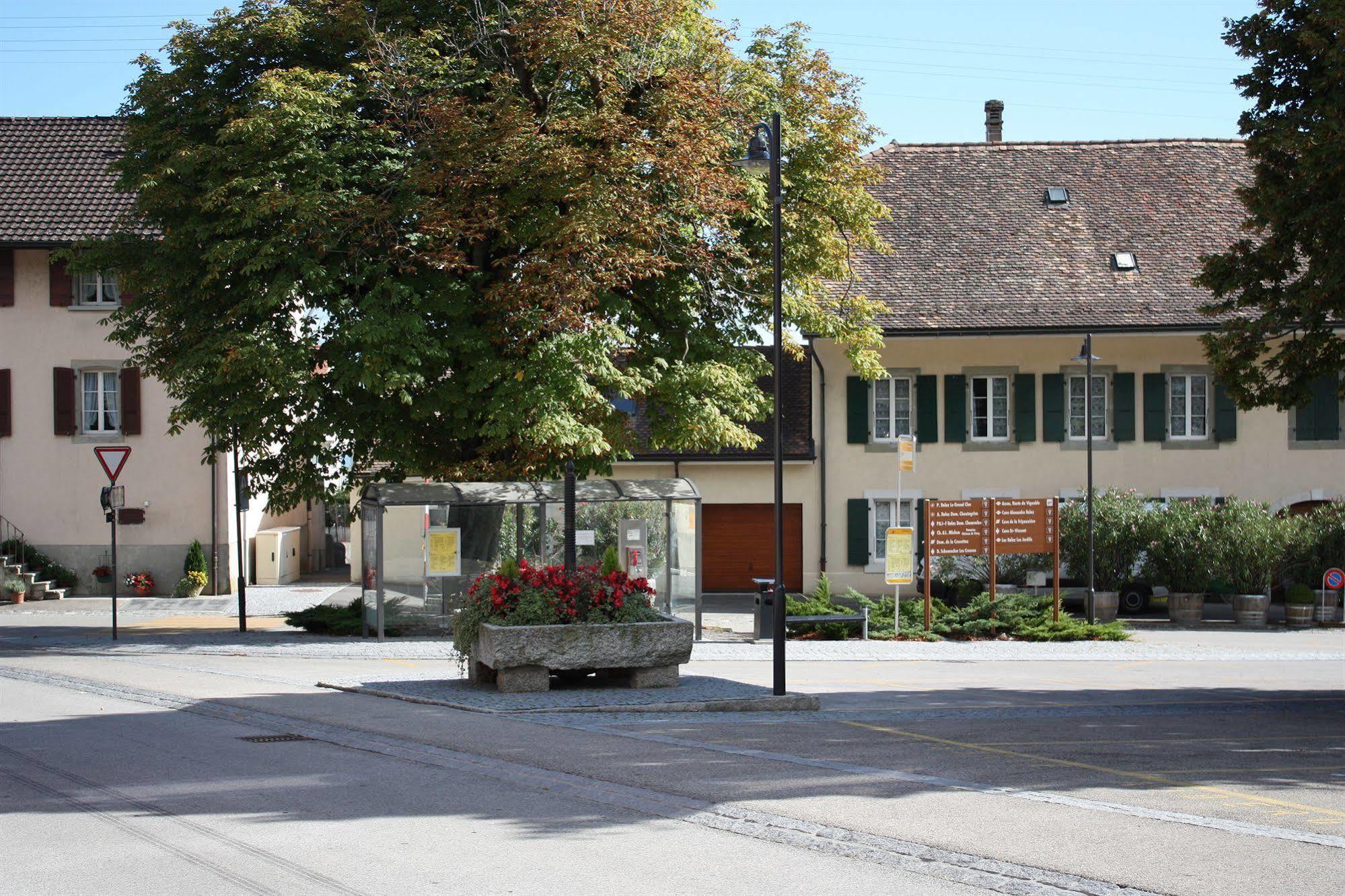 Auberge Communale A L'Union Gilly Eksteriør billede
